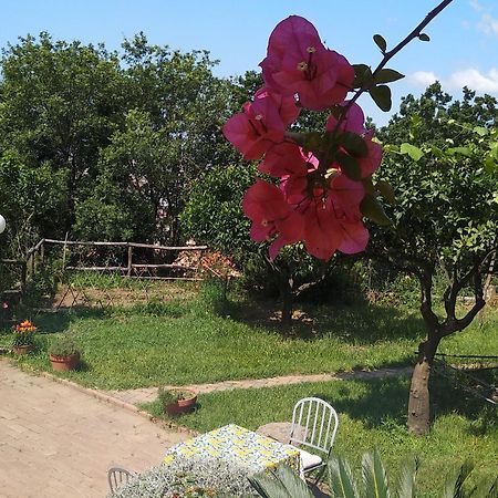B&B Casa Gemma Ламеція-Терме Екстер'єр фото